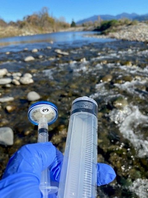 How to collect and analyse eDNA